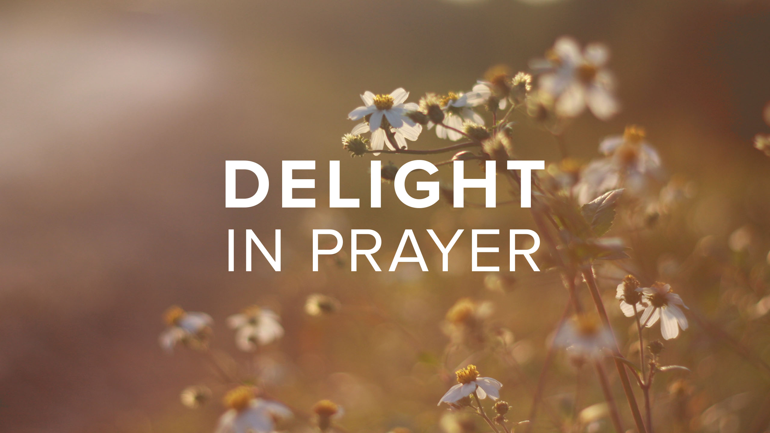 Read more about the article Sunday Evening Prayer Hour Via Zoom