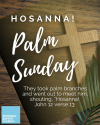 Woodley Baptists Church Palm Sunday 2026